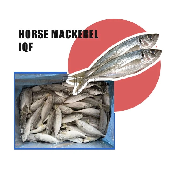 Bulk Jack Mackerel
